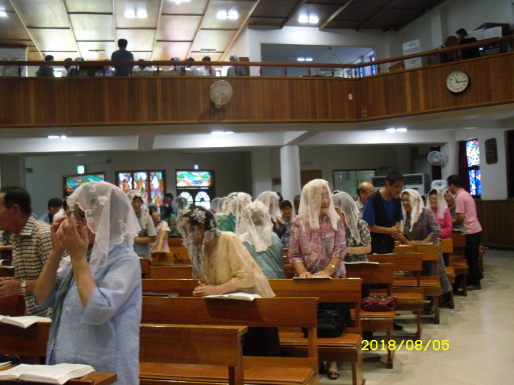 SDC14135.JPG