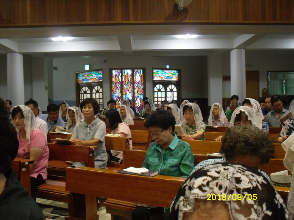SDC14142.JPG