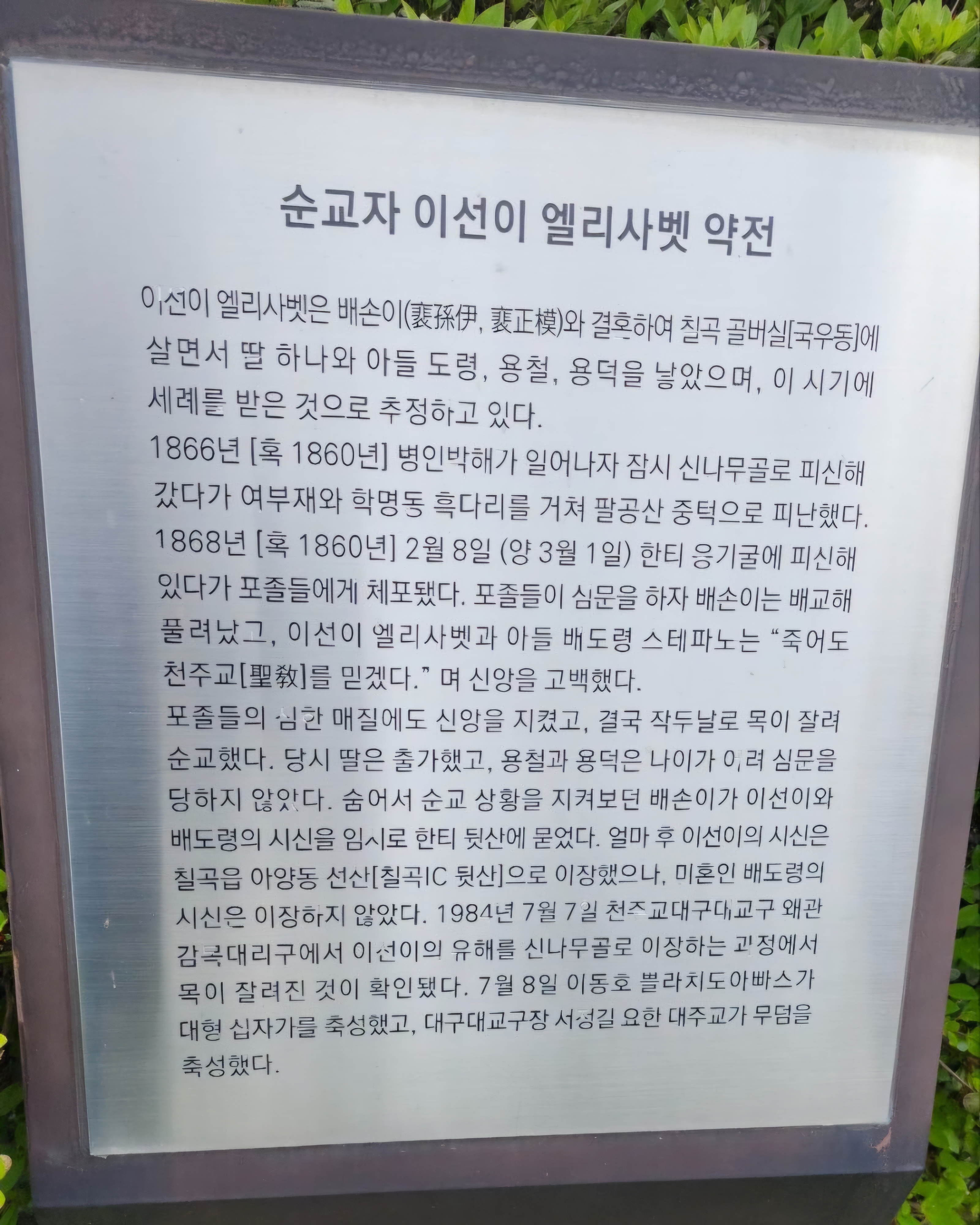 1746852237212.jpg