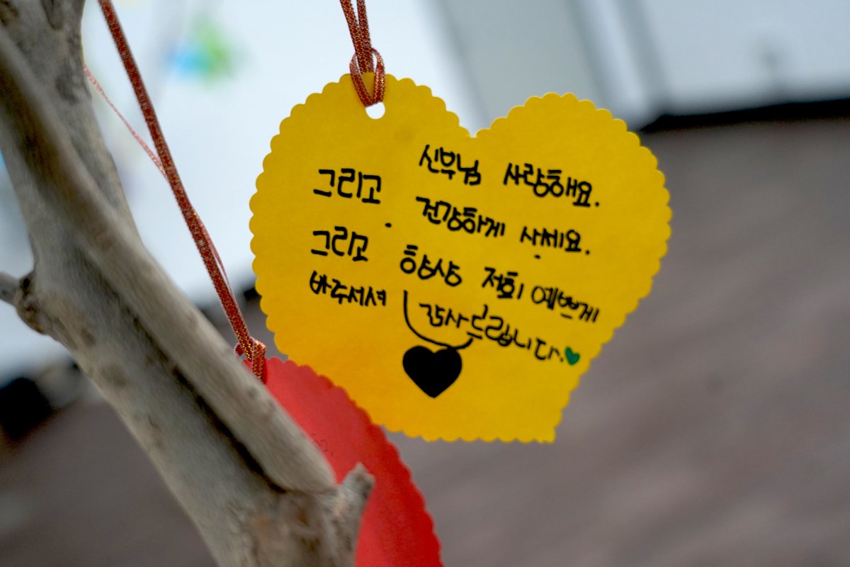 1751185798189.jpg