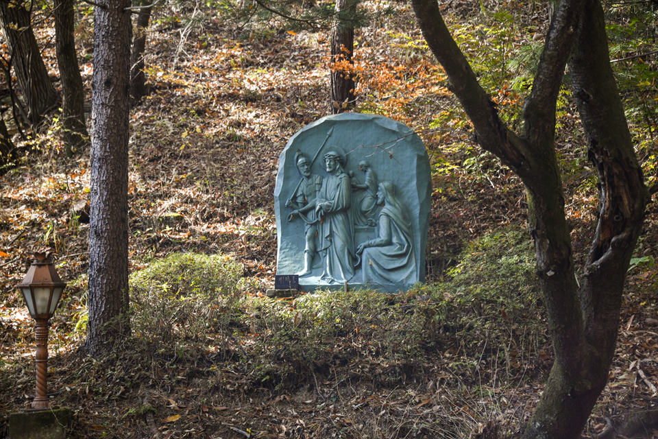 DSC_2223.jpg