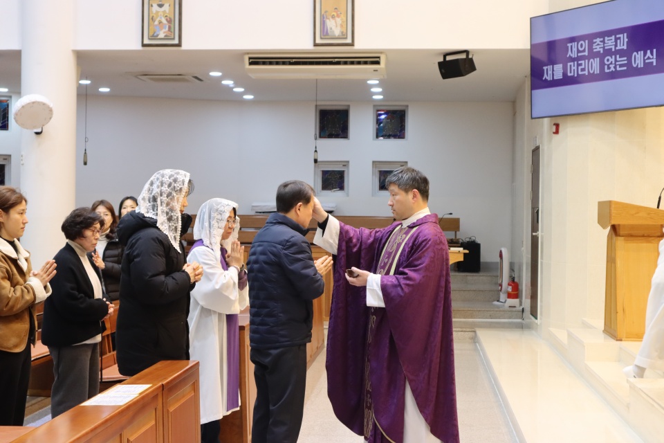 꾀꼬리 (79).JPG