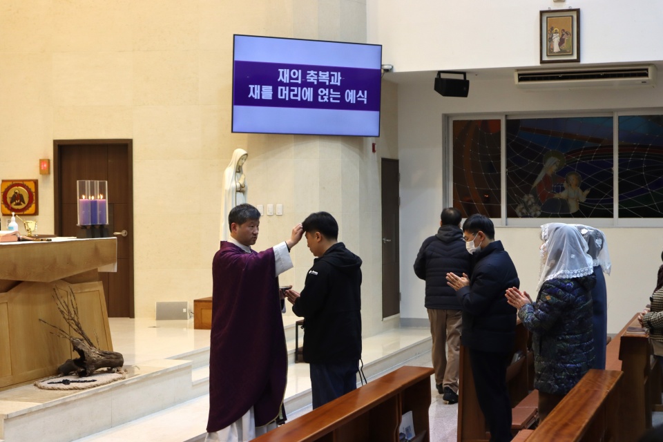 꾀꼬리 (100).JPG