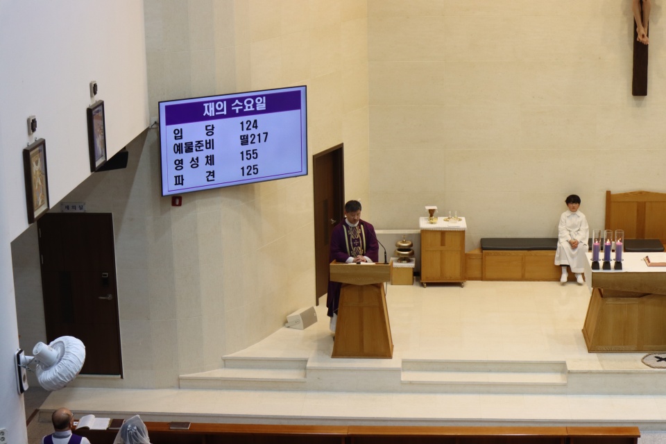 꾀꼬리 (71).JPG