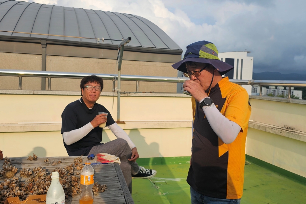 2024_09_08 옥상텃밭정리(16).jpg