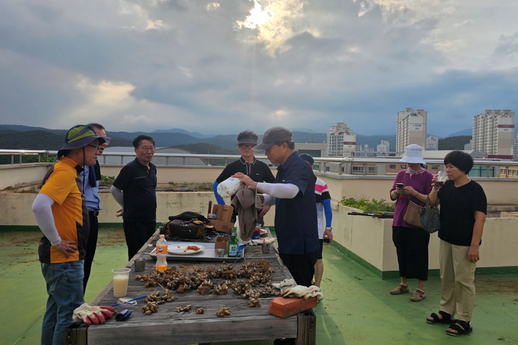 2024_09_08 옥상텃밭정리(10).jpg