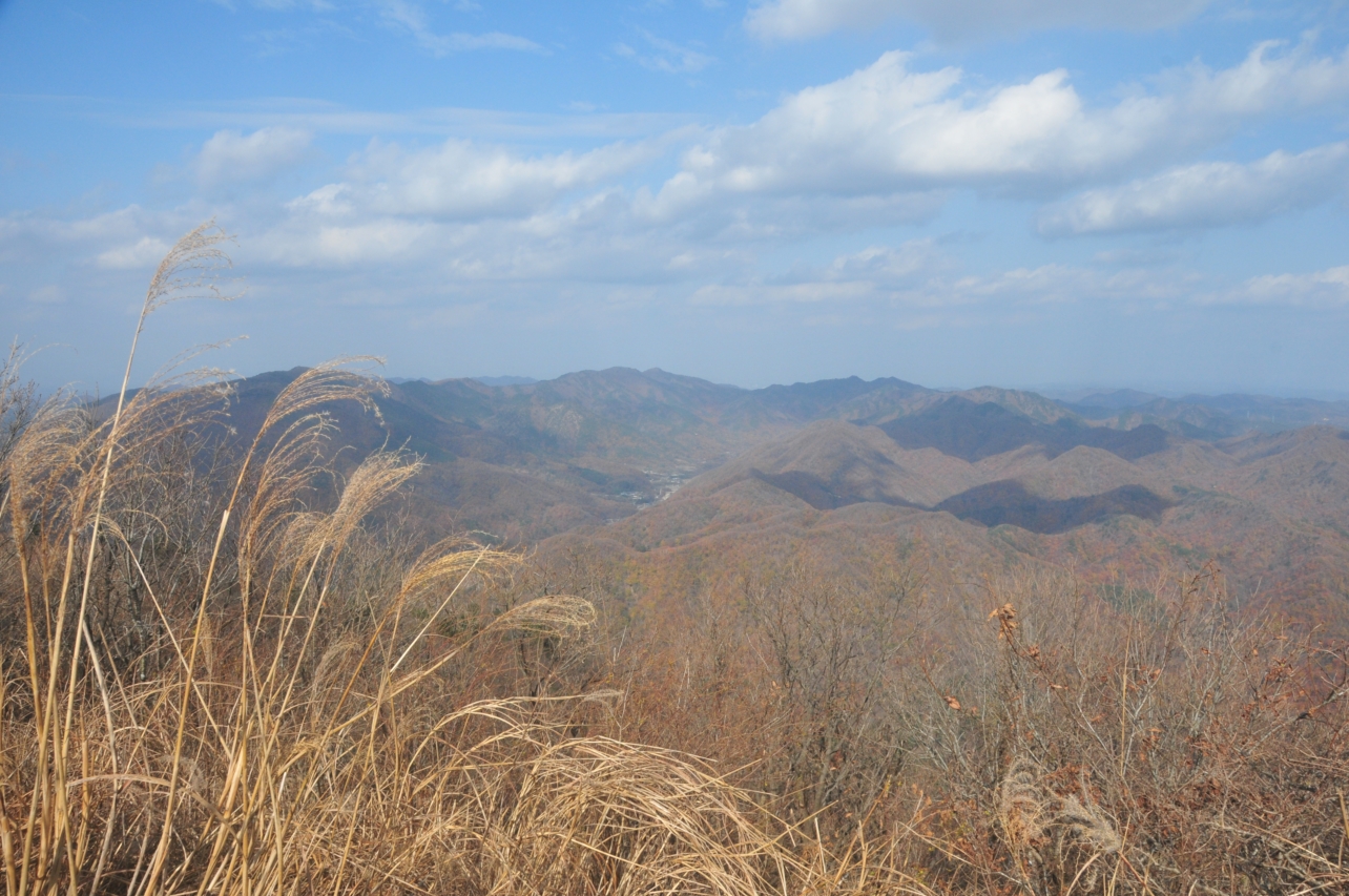DSC_0632.JPG
