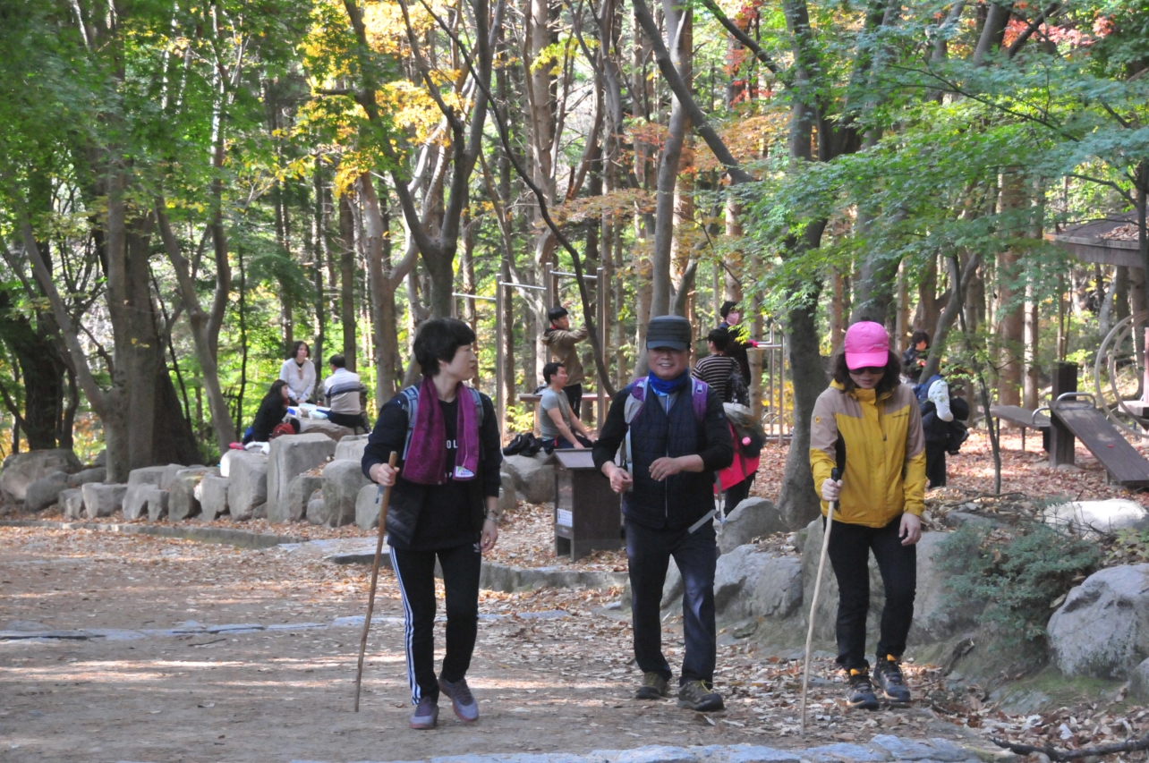DSC_0564.JPG