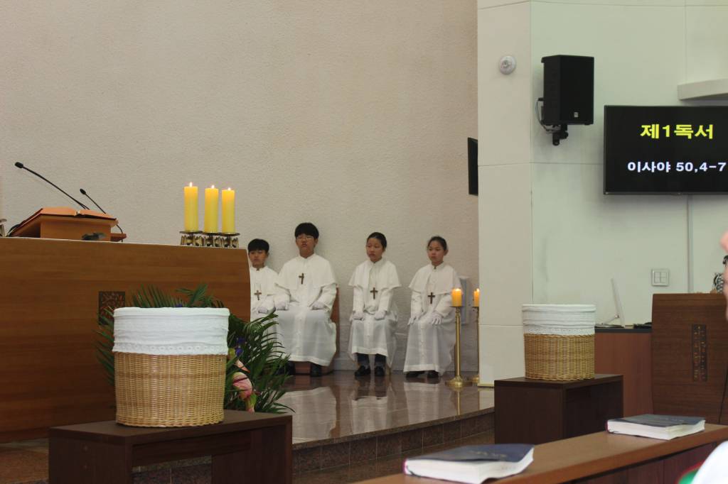 IMG_6474.JPG