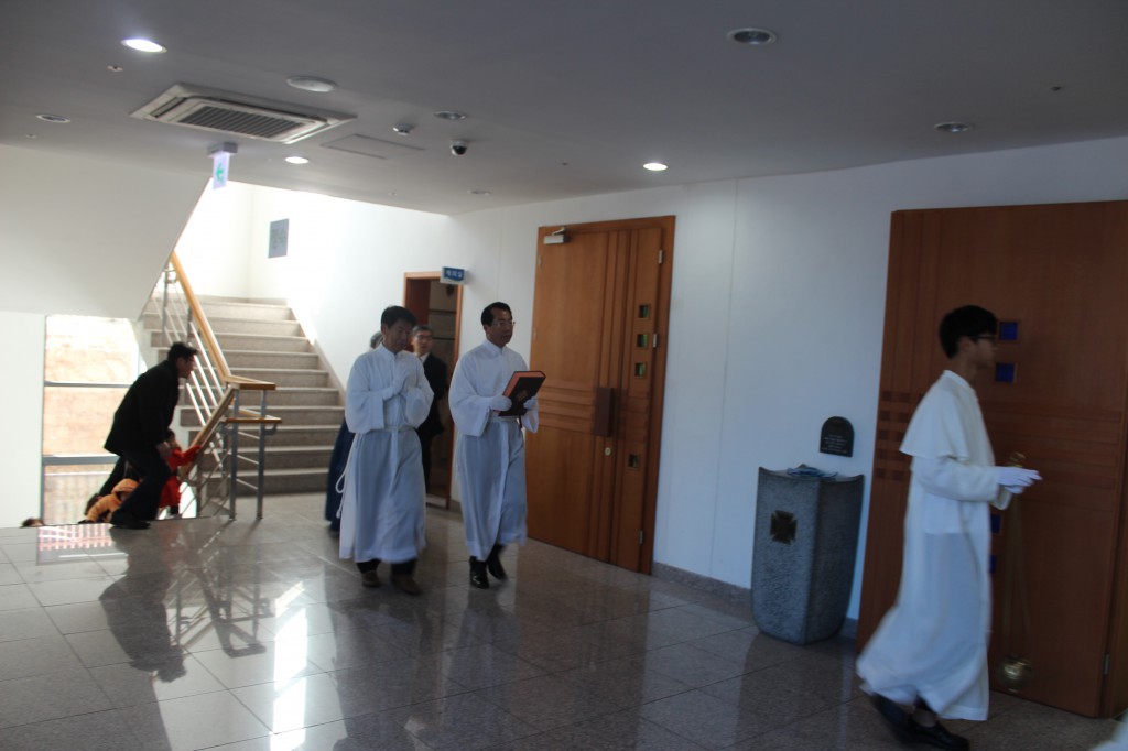 IMG_5925.JPG