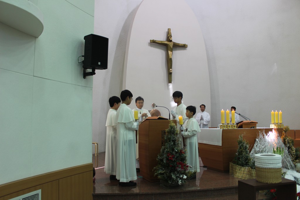 IMG_5936.JPG