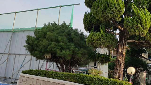 KakaoTalk_20150921_142228470.jpg