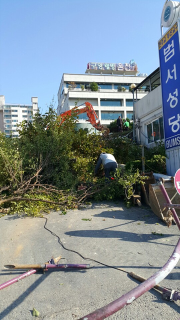 KakaoTalk_20151006_101342814.jpg