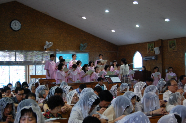 aDSC_2382.jpg