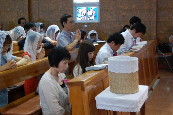aDSC_2377.jpg
