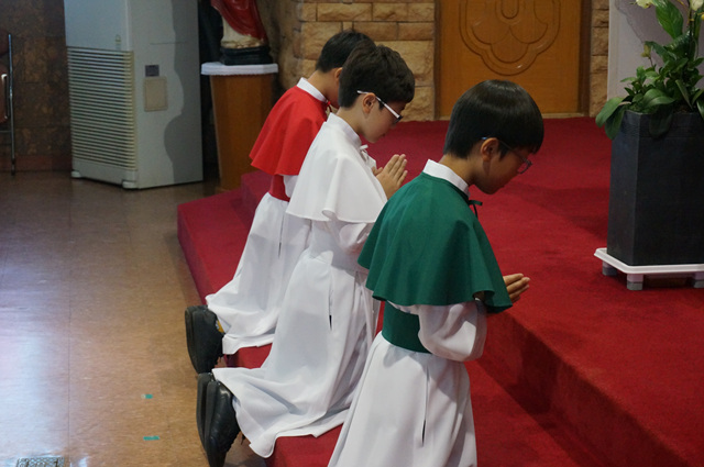 DSC02302.jpg