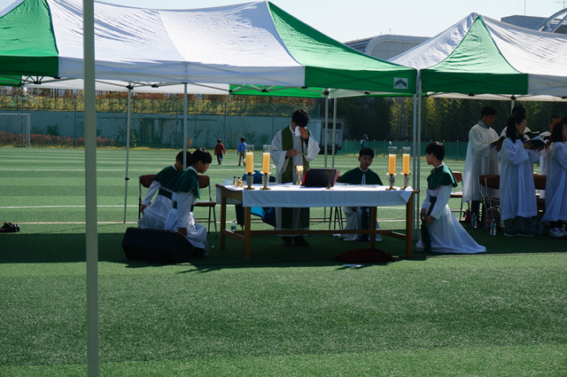 DSC02454.jpg
