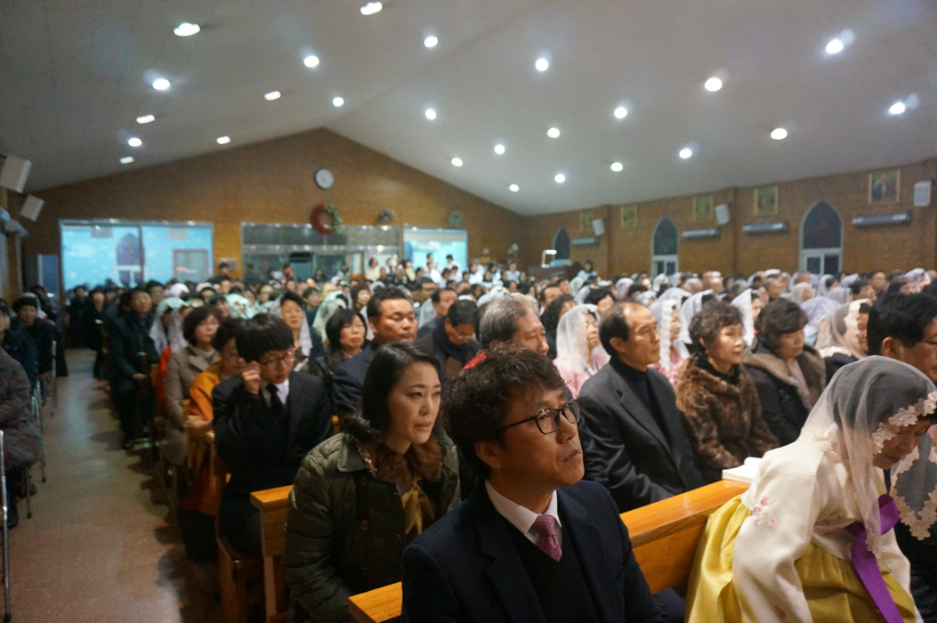 DSC02982.jpg