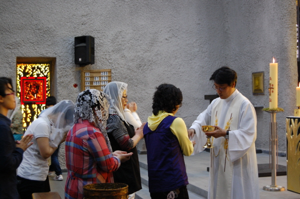 2DSC_6356.jpg