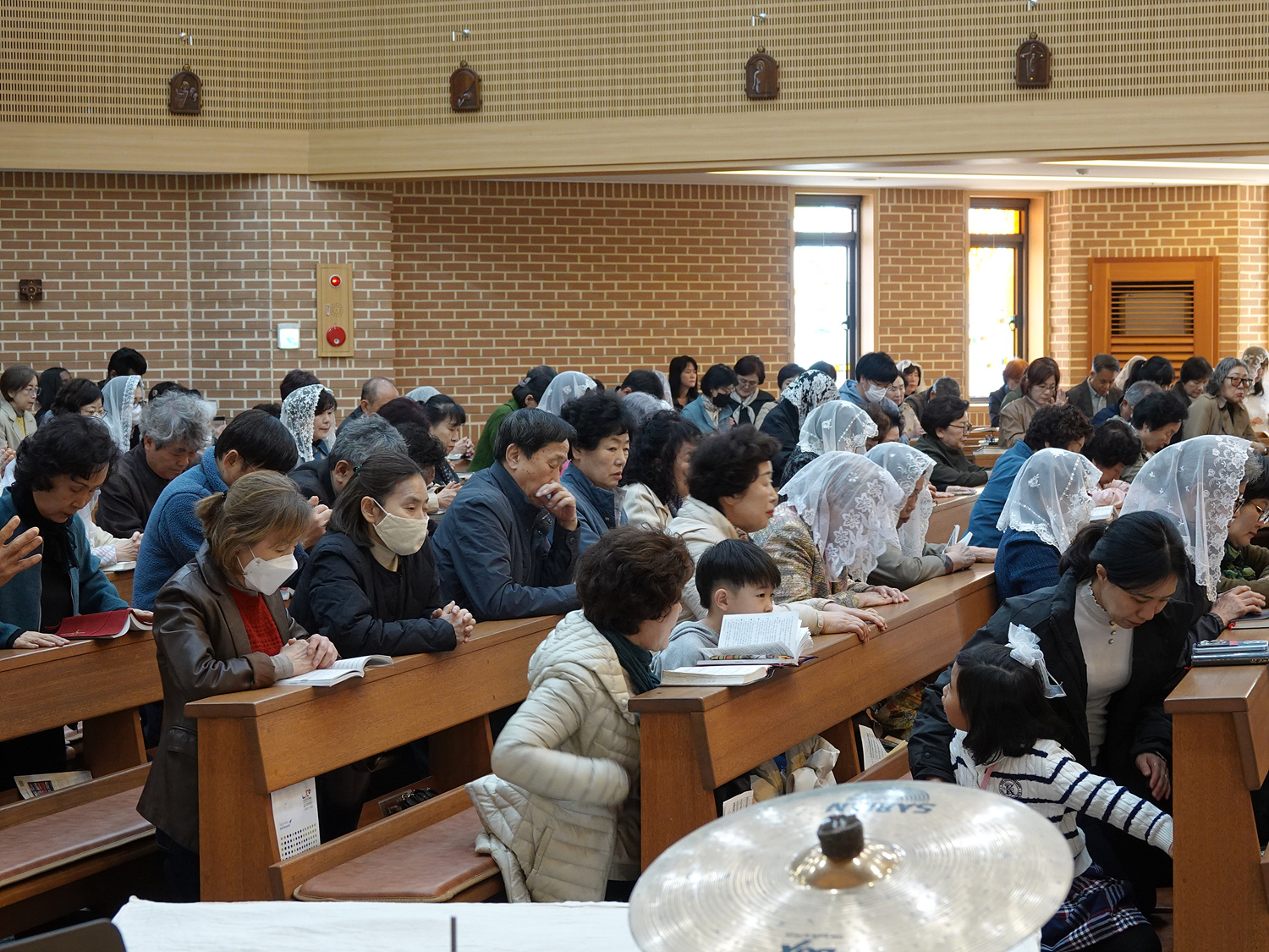 DSC00955.jpg