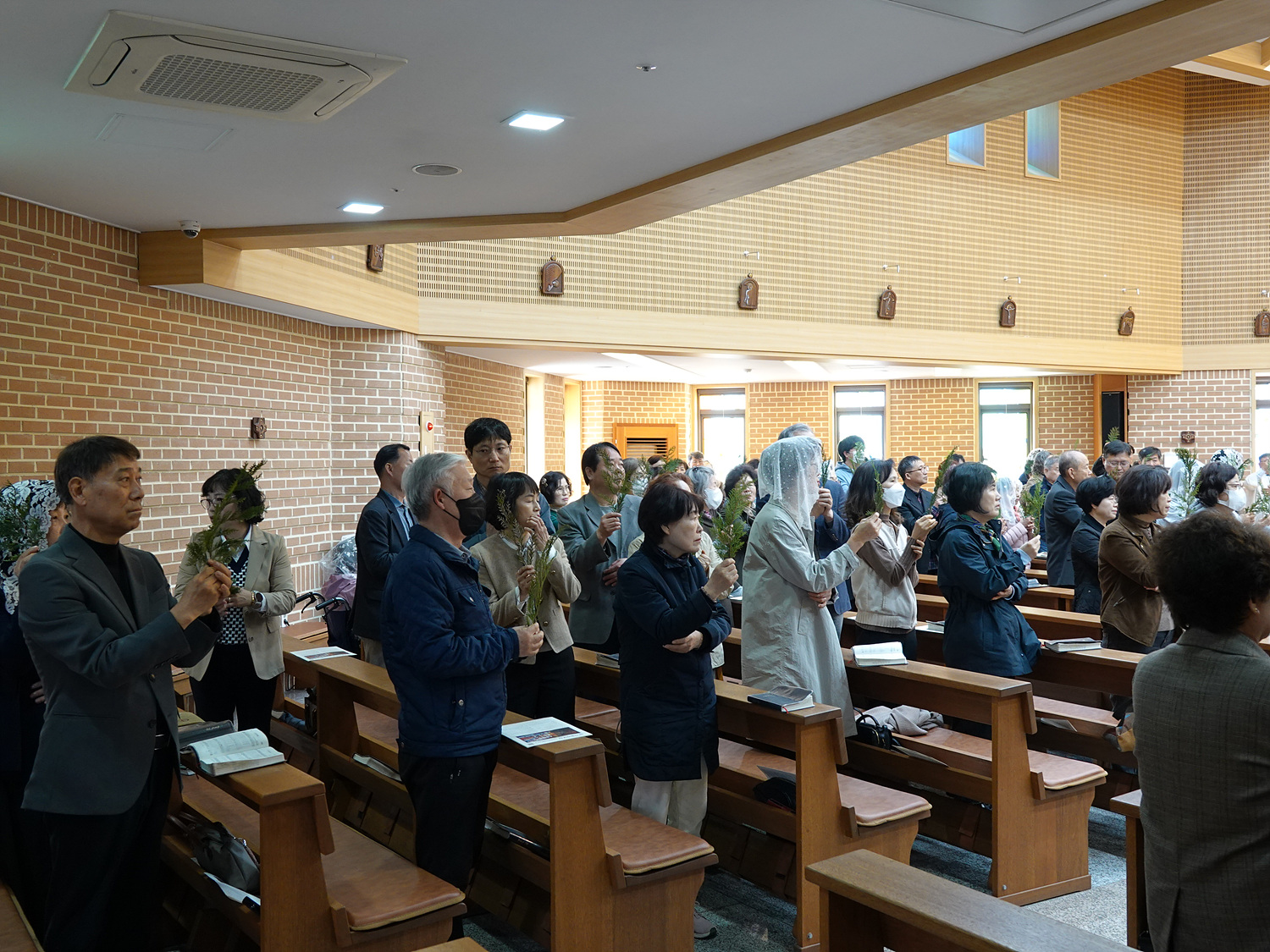 DSC00918.jpg