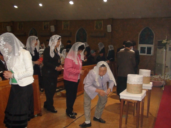 aDSC00731.jpg
