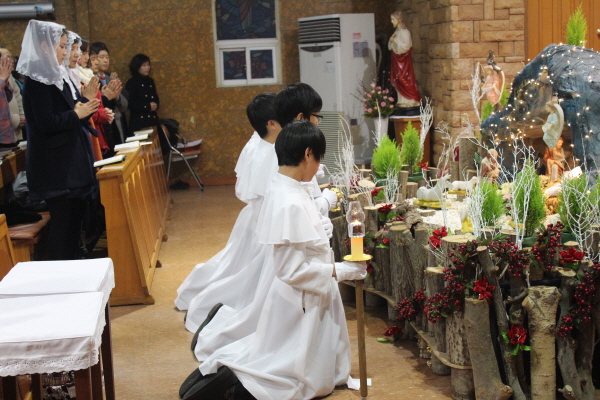 1IMG_4672.jpg