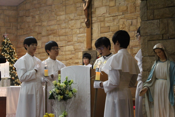 1IMG_4655.jpg