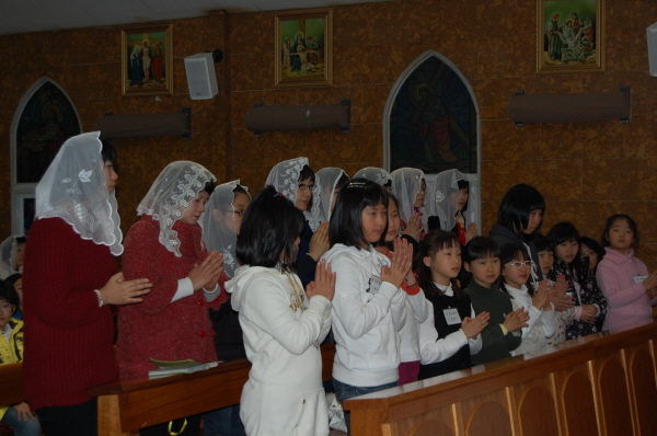 2DSC_0239.jpg