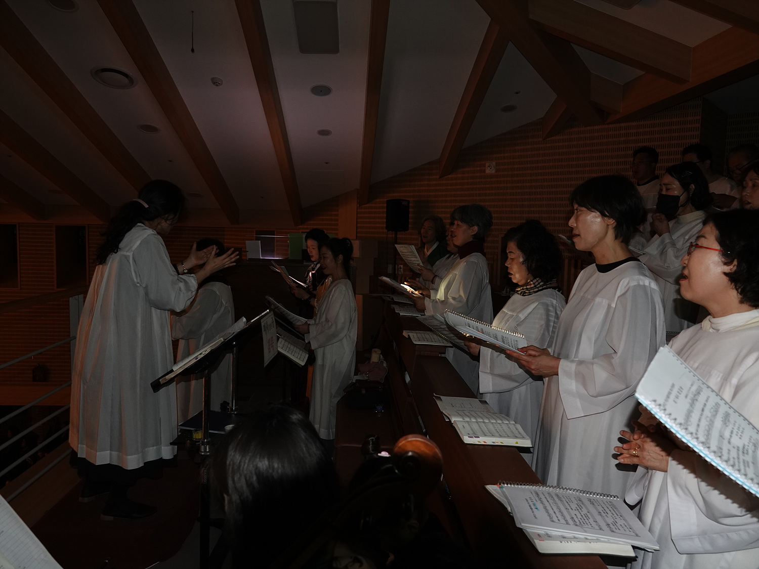 DSC01236.jpg
