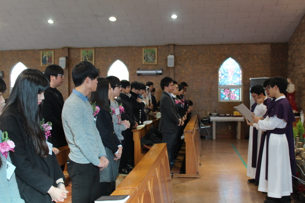 1IMG_4525.jpg