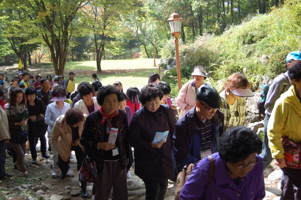 aDSC_7993.jpg