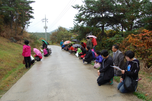 aDSC_1348.jpg