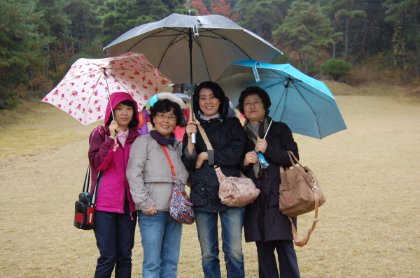 aDSC_1376.jpg