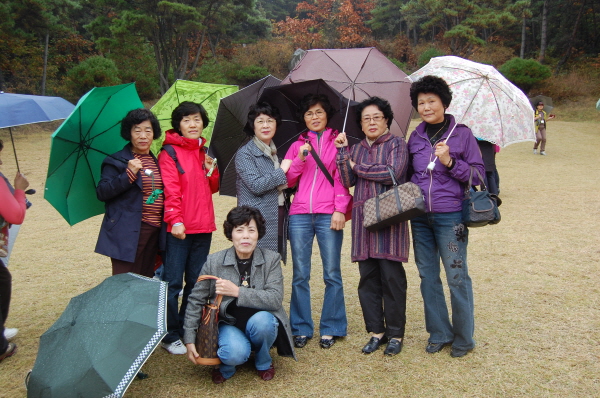 aDSC_1387.jpg