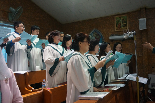 DSC01417.jpg