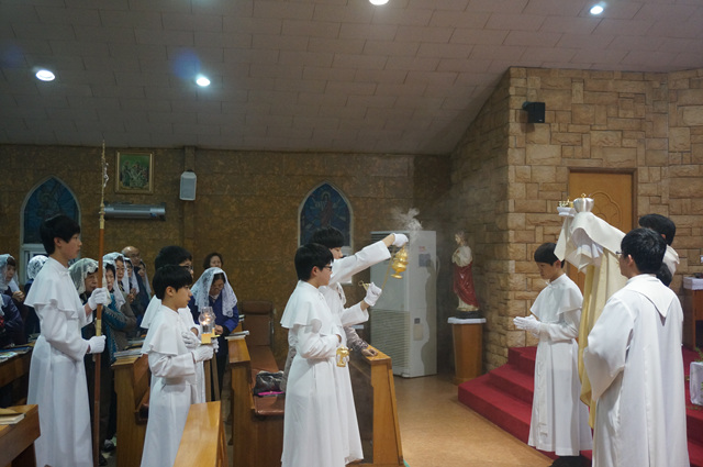 DSC01282.jpg