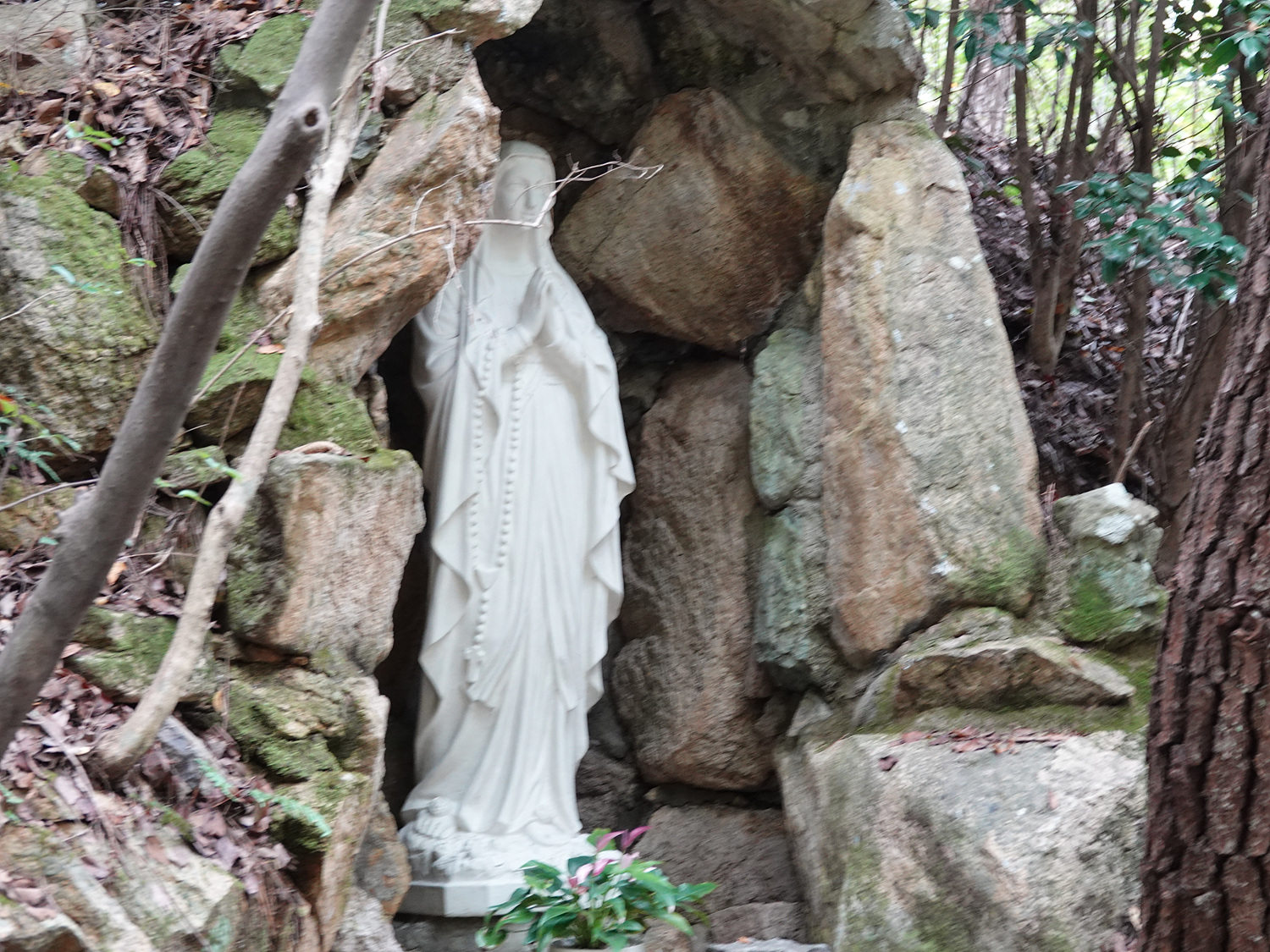 DSC03121.jpg