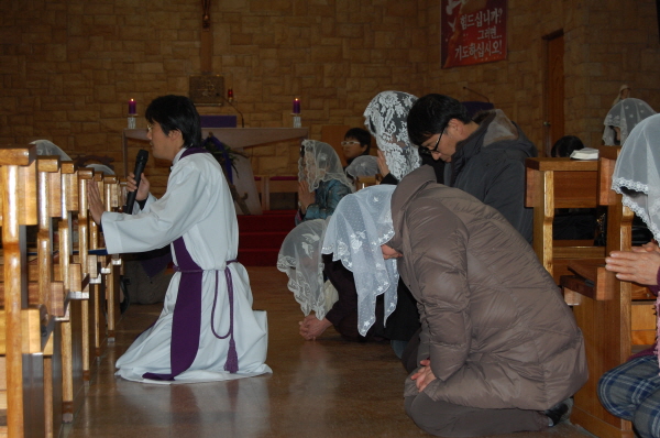 020236_2DSC_0078.jpg