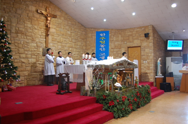 bDSC_0225.jpg