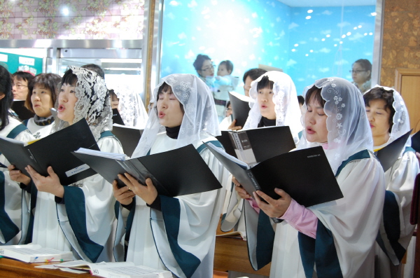 bDSC_0228.jpg