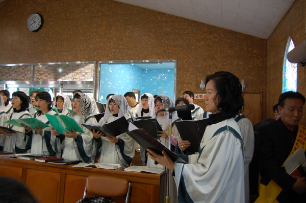bDSC_0237.jpg