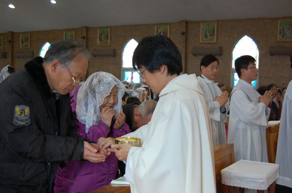 bDSC_0279.jpg