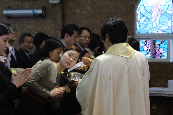 1IMG_6111.jpg