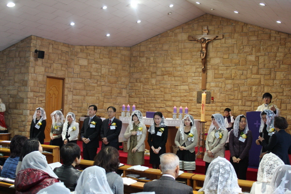 1IMG_6146.jpg
