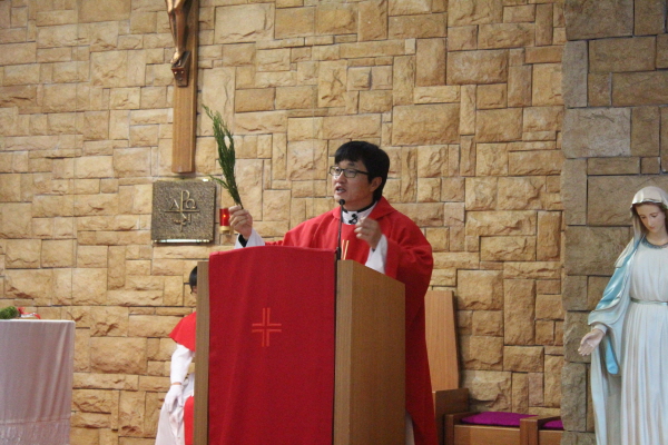 1IMG_6252.jpg
