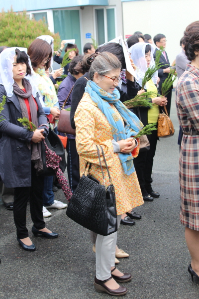 1IMG_6232.jpg