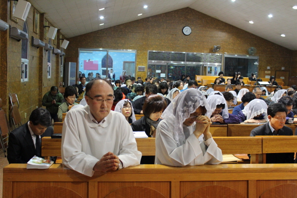 1IMG_6362.jpg