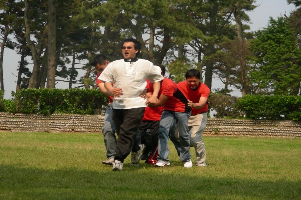 250.jpg