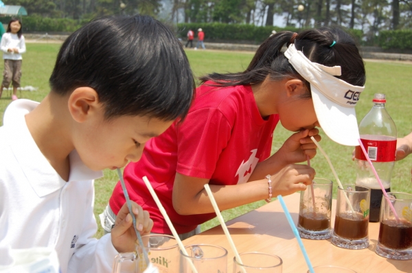 sDSC_0239.jpg